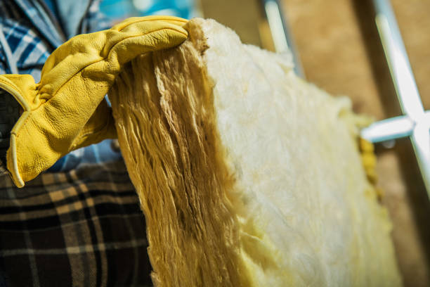 Best Crawl Space Insulation  in Clarksburg, WV